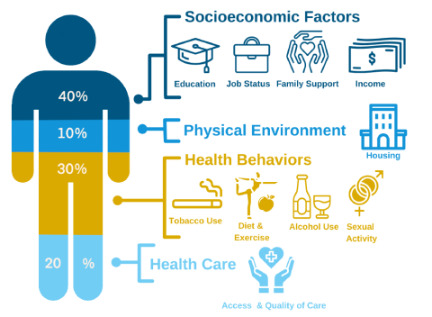 phd social determinants of health